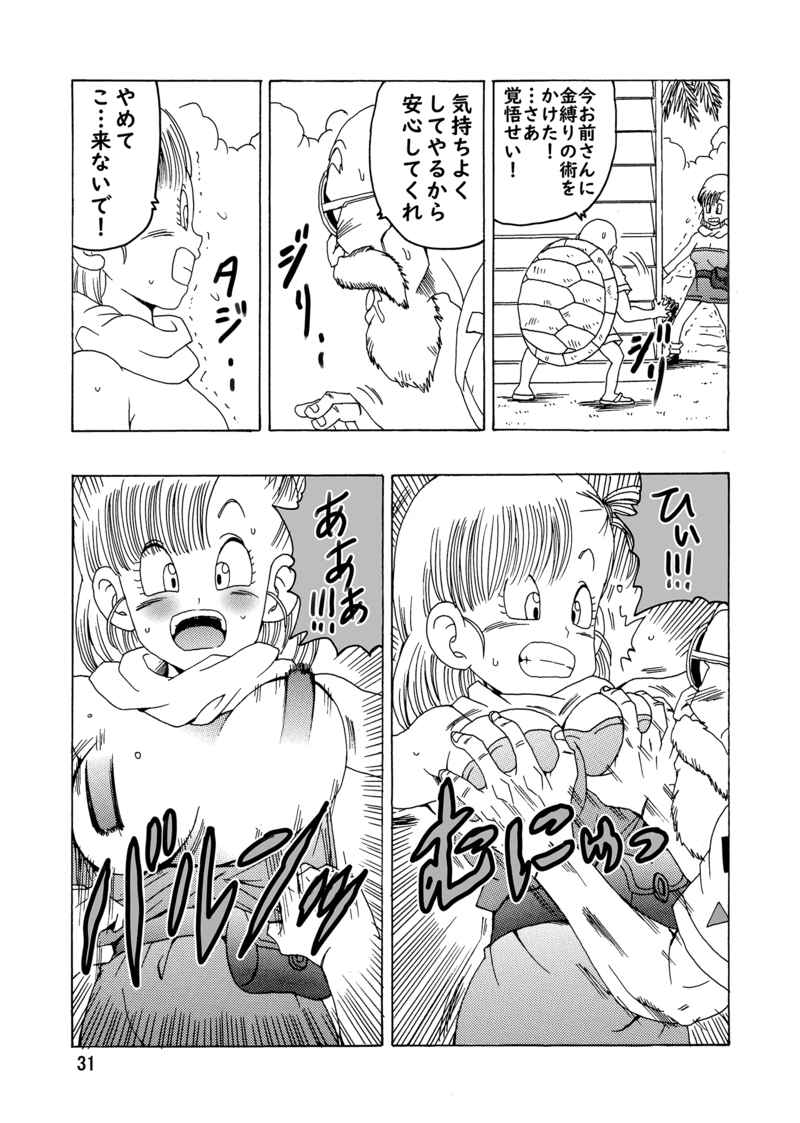 ブルマ本神龍の伝説 Bulma Book Legend of Shinryu 8